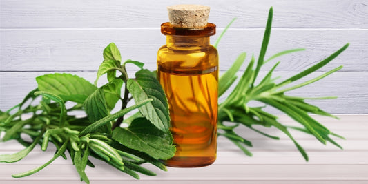 Refresh and Revitalize: Harnessing the Benefits of Tea Tree and Mint for Hair and Scalp Care