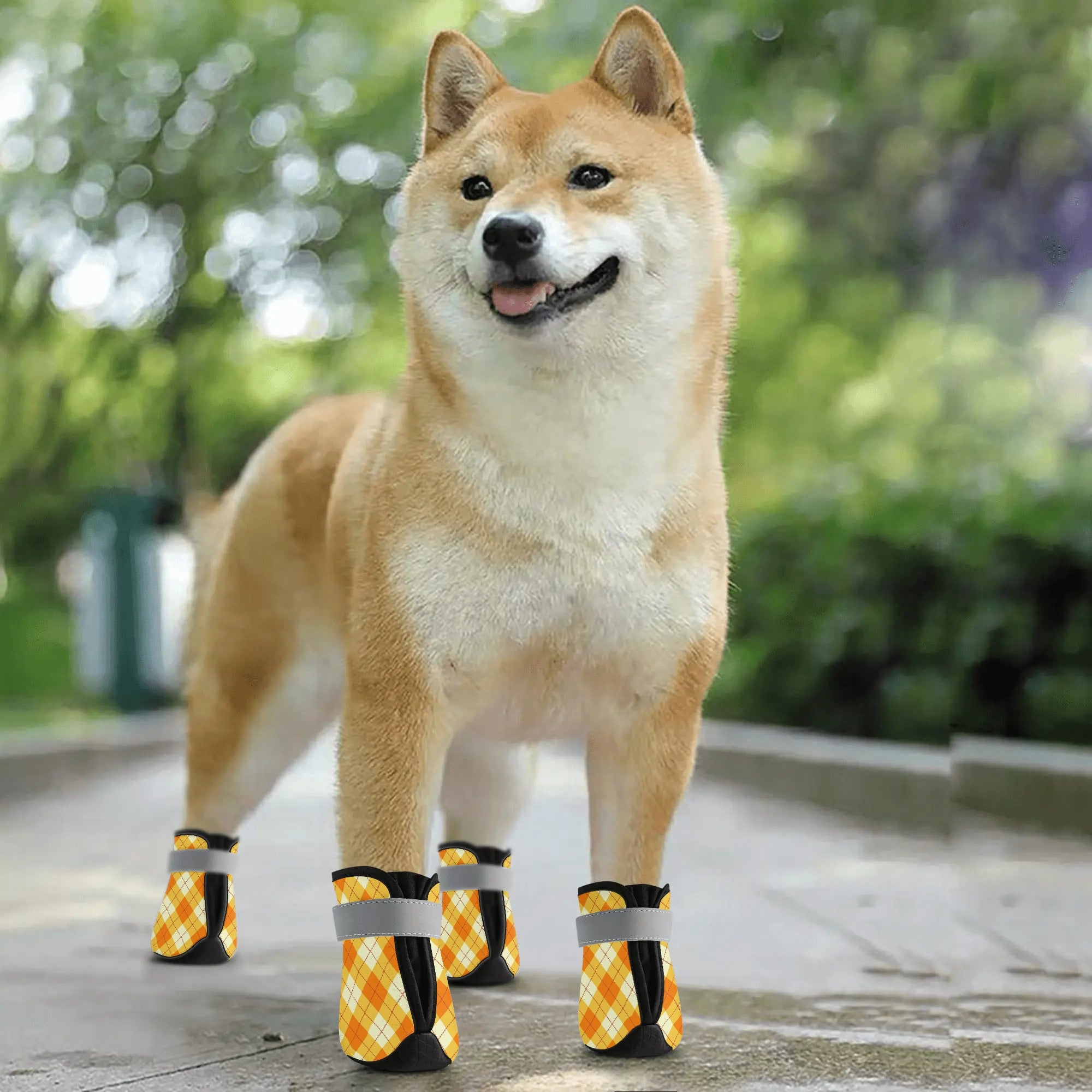 Non-Slip Dog Socks - Orange Argyle