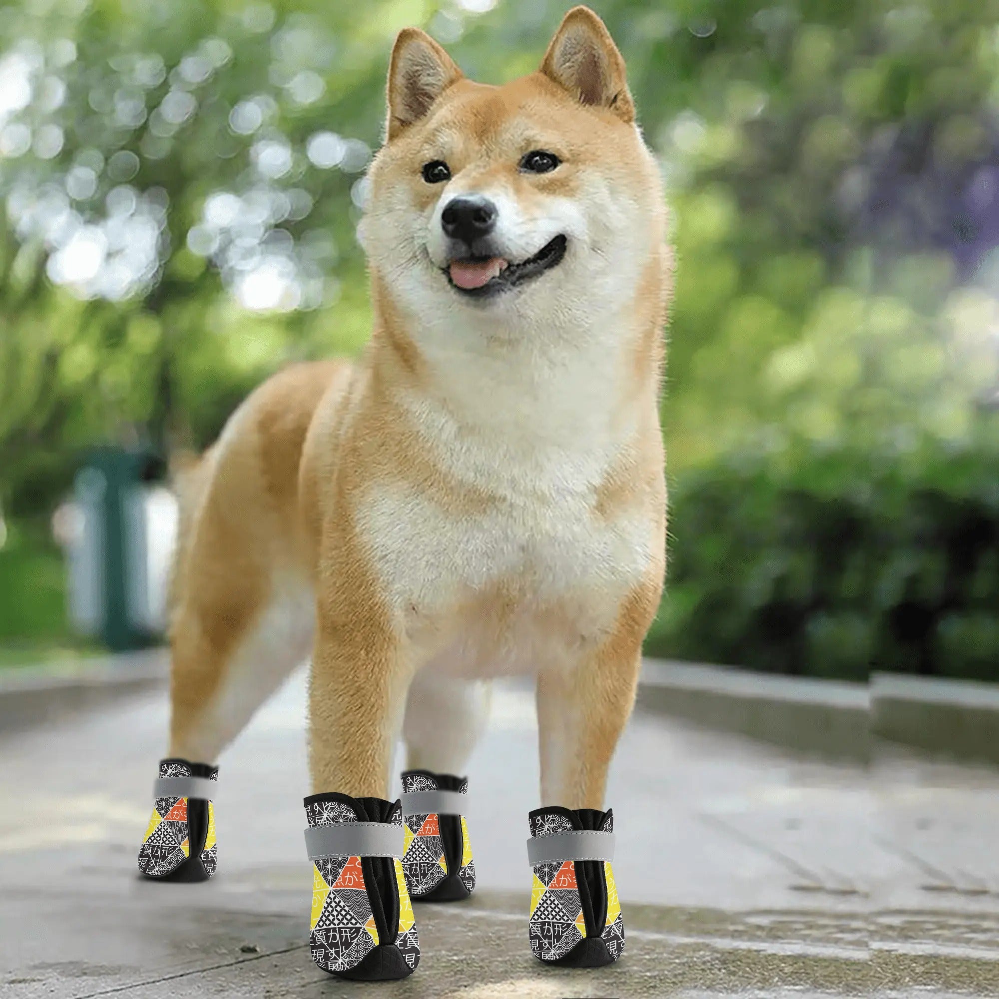 Chaussettes antidérapantes pour chien - Sankakkei