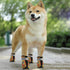 Chaussettes antidérapantes pour chien - Paintball