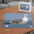 Wooden Jigsaw Puzzle (500 Pcs) - The Seagull