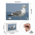 Wooden Jigsaw Puzzle (500 Pcs) - The Seagull