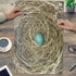 Puzzle en bois (1000 mcx) - Un nid presque vide