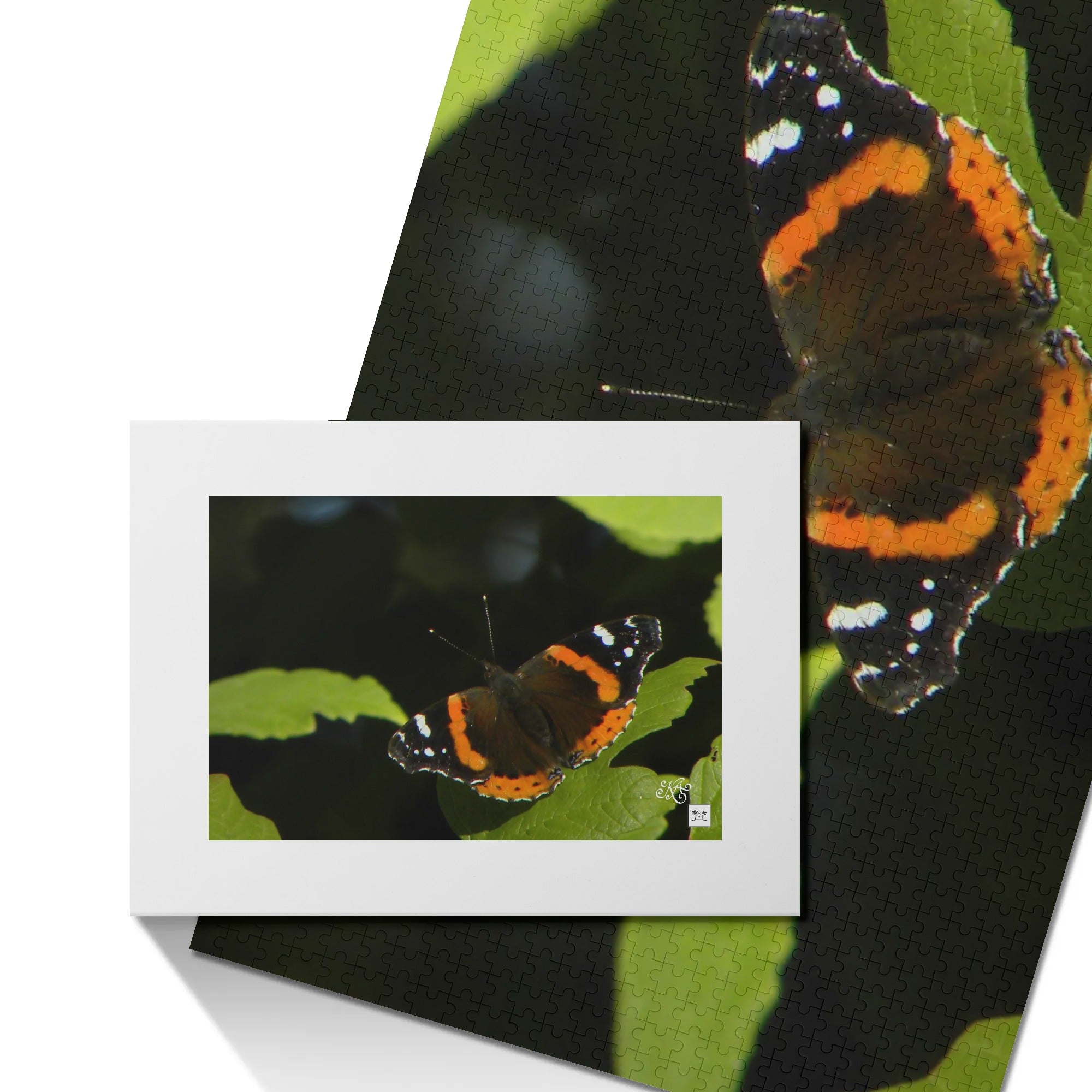 Wooden Jigsaw Puzzle (1000 Pcs) - The Red Admiral