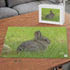 Wooden Jigsaw Puzzle (1000 Pcs) - A Baby Bunny