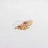 Bee Pearl (Capsules)