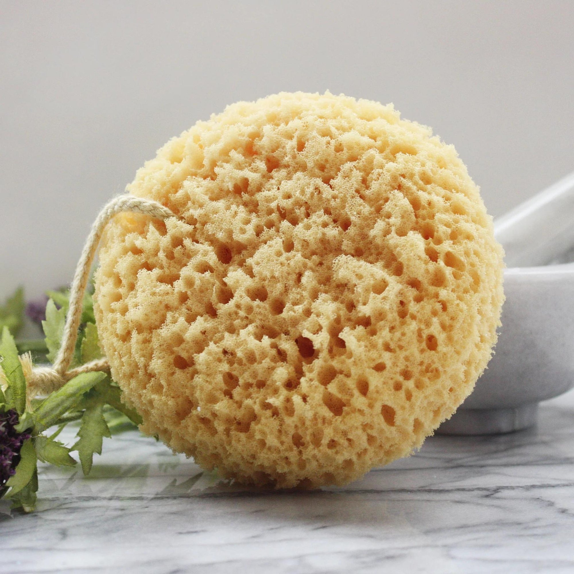 Natural Sea Sponge