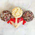 Chocolate Candy Cane Gourmet Popcorn Pop