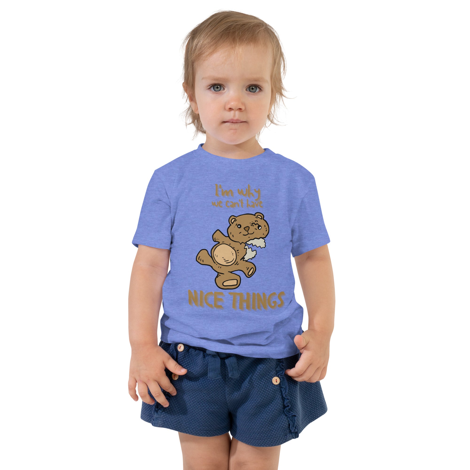 Toddler Short Sleeve Tee - Nice Things (Colors)